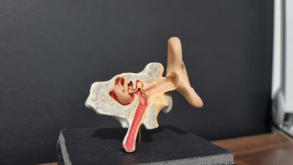 3D Štampani Model Uveta – 3-Delna Struktura - Image 3