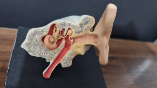 3D Štampani Model Uveta – 3-Delna Struktura - Image 4