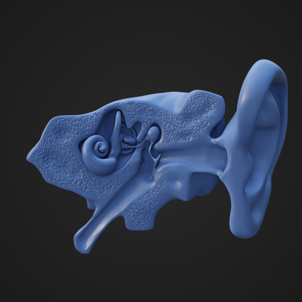 3D Štampani Model Uveta – 3-Delna Struktura - Image 6