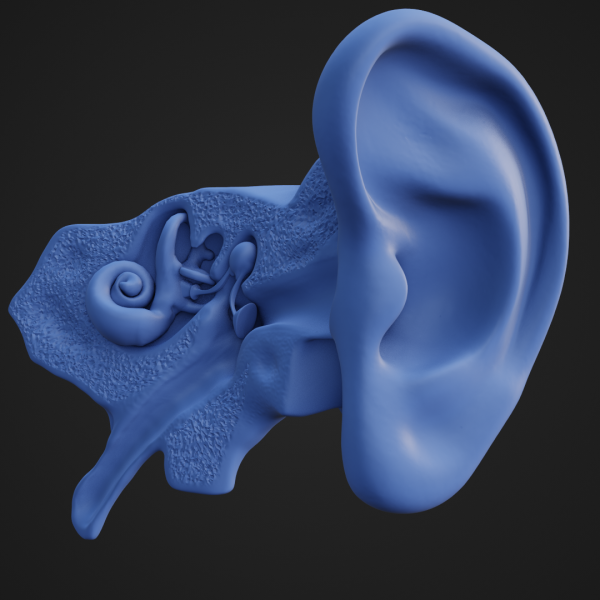 3D Štampani Model Uveta – 3-Delna Struktura - Image 8
