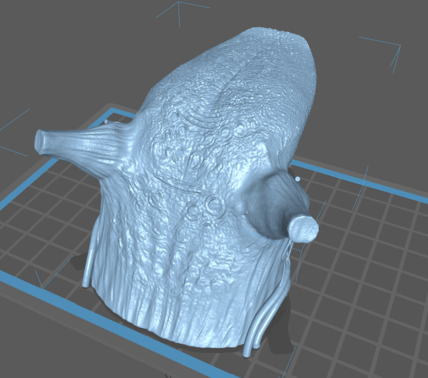 Model Jezika – Realističan i Edukativan - Image 6